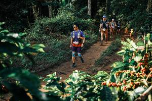 BIB: 
                            <button type="button" onclick="openModal(25844471)" class="btn btn-primary btn-sm float-right btn-popup" data-toggle="modal" data-target=".modal-high-quality">
                        <i class="fas fa-shopping-cart"></i> Add to Cart
                    </button>
                                            <button type="button" onclick="isThisMe(25844471, true)" class="btn btn-success btn-sm float-right btn-popup btn-isme hidden" data-toggle="tooltip" data-placement="bottom" title="นี่คือรูปของคุณใช่ไหม คลิกที่นี่เพื่อเอาเข้าอัลบั้ม">
                        <i class="fas fa-plus"></i> Add to album
                    </button>
                    <button type="button" onclick="isThisMe(25844471, false)" class="btn btn-warning btn-sm float-right btn-popup btn-isnotme hidden">
                        <i class="fas fa-ban"></i> Remove from album
                    </button>